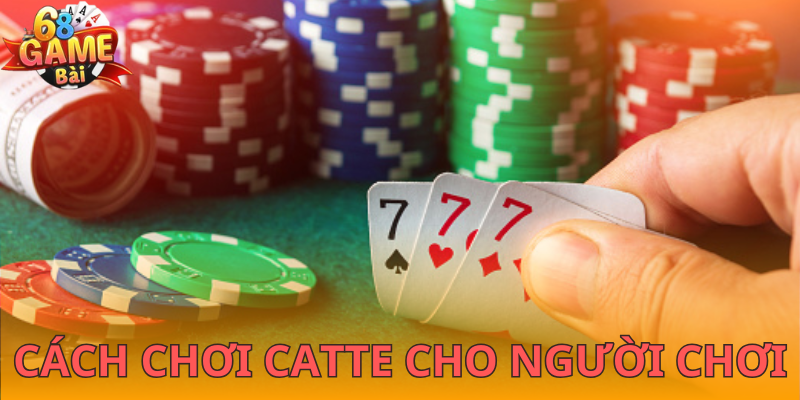 Cách chơi catte dễ hiểu nhất